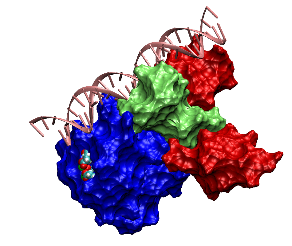 integrase do HIV-1