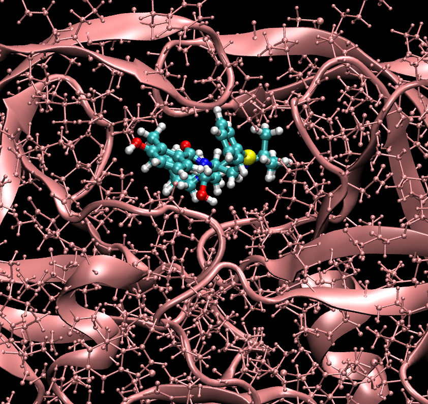 dinâmica molecular da protease do HIV-1