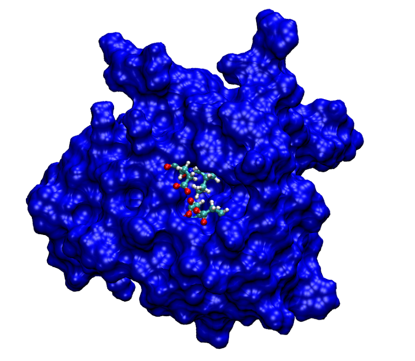 Fragmento do Domínio Catalítico da Protease do HIV-1