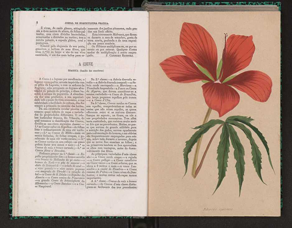 Jornal de horticultura prtica I 10