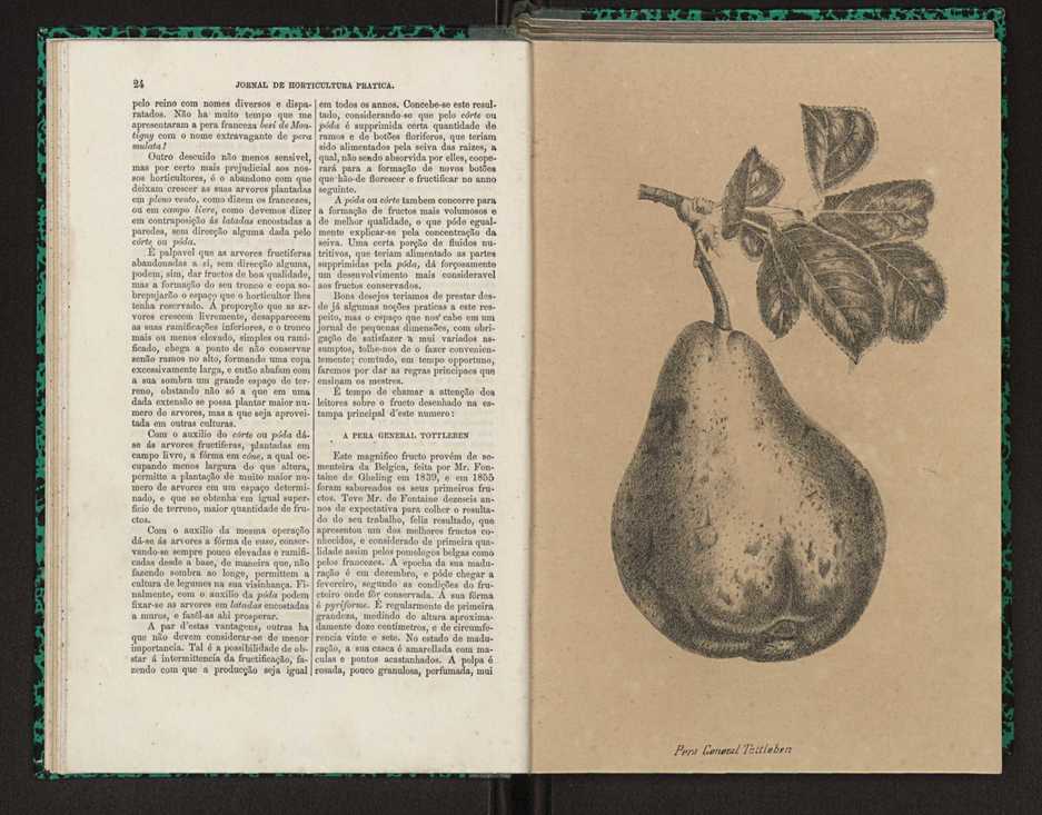 Jornal de horticultura prtica I 19