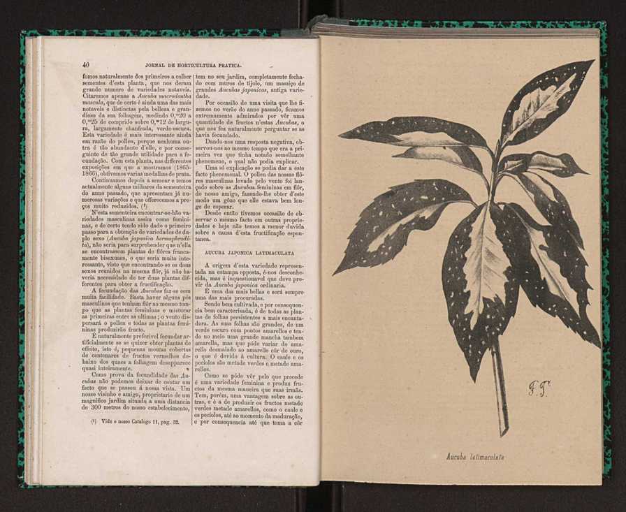 Jornal de horticultura prtica I 28