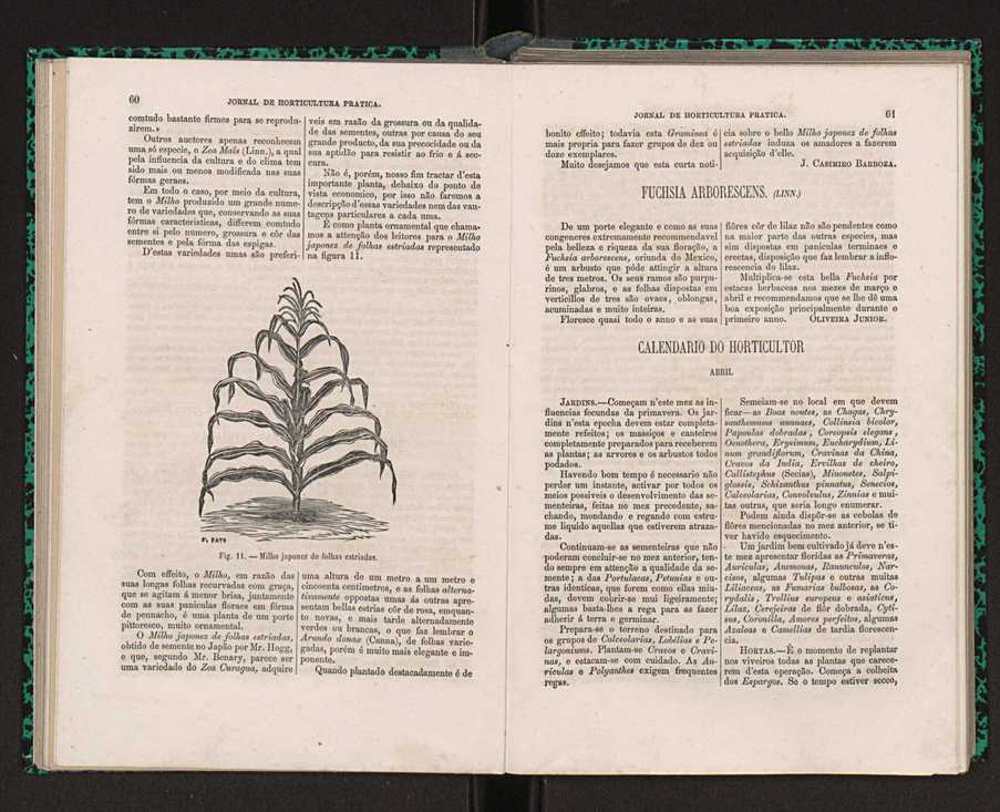 Jornal de horticultura prtica I 40