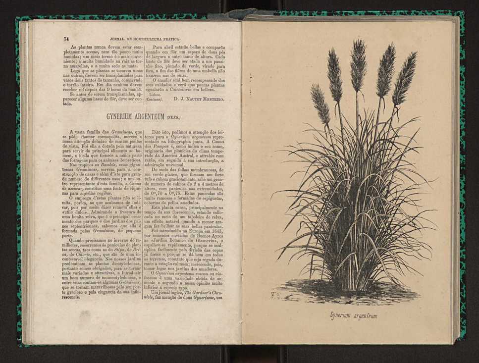 Jornal de horticultura prtica I 47