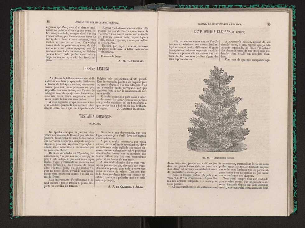 Jornal de horticultura prtica I 55