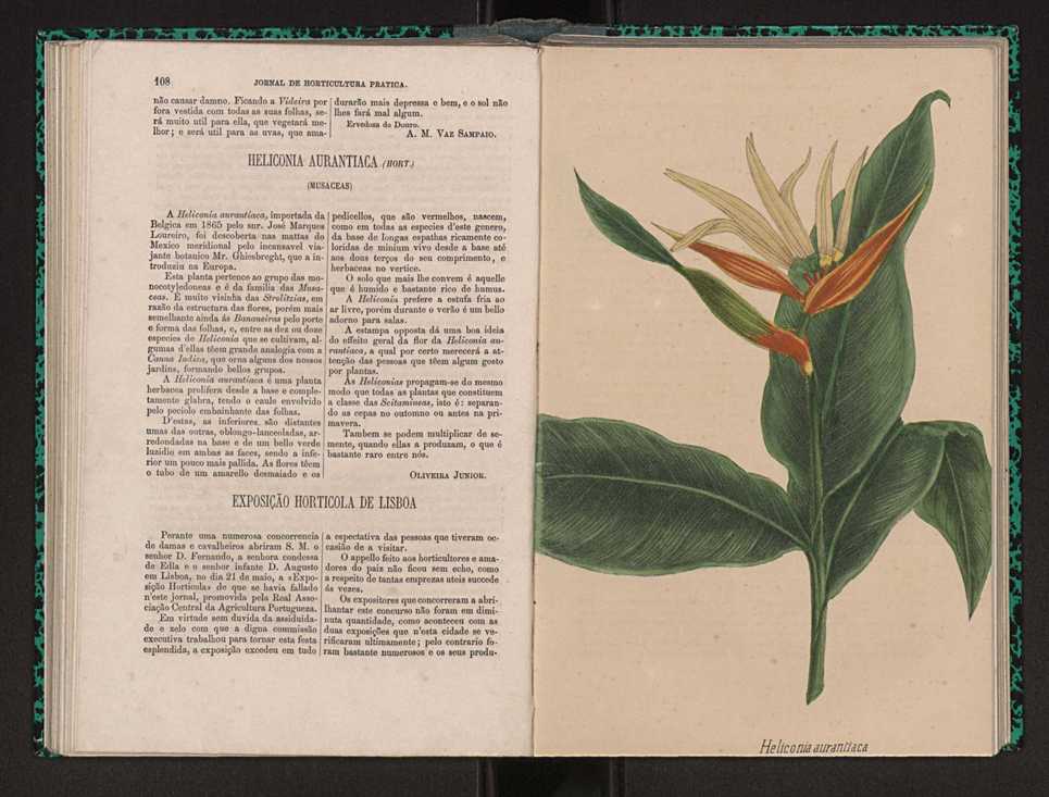 Jornal de horticultura prtica I 66