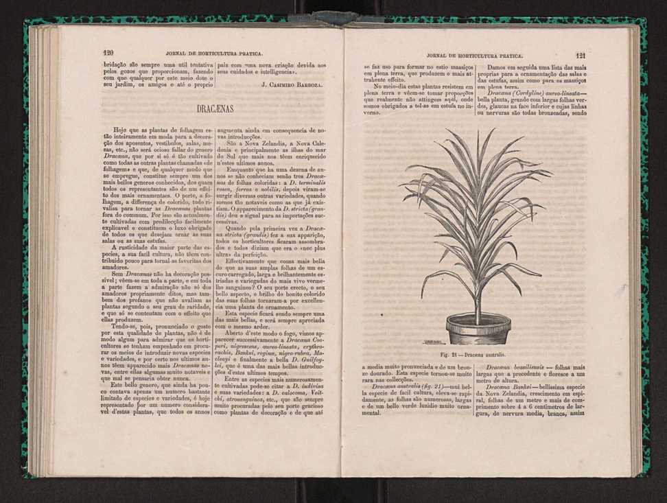 Jornal de horticultura prtica I 73