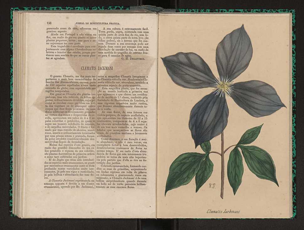Jornal de horticultura prtica I 93