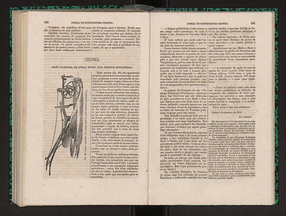 Jornal de horticultura prtica I 96