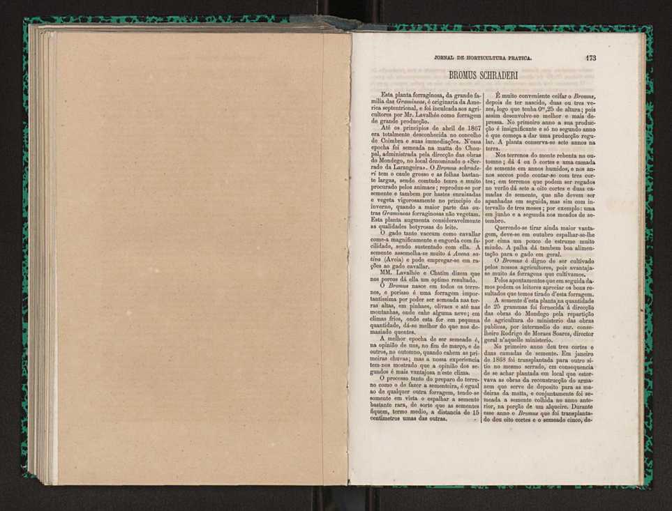 Jornal de horticultura prtica I 103