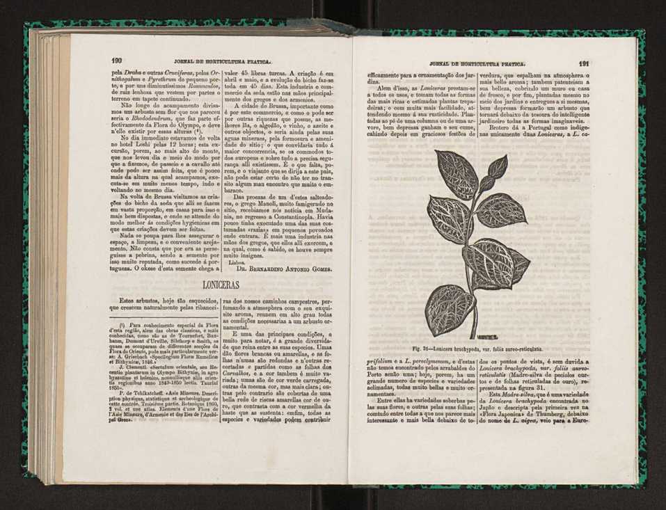 Jornal de horticultura prtica I 113