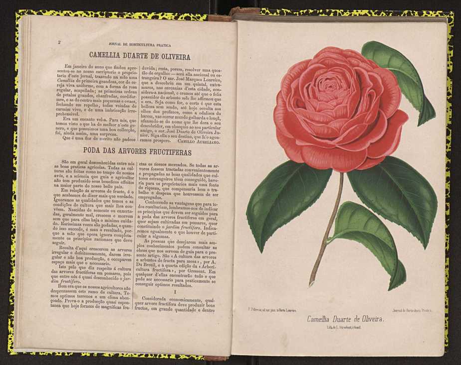 0002-Jornal de Horticultura Prtica II 1871 12