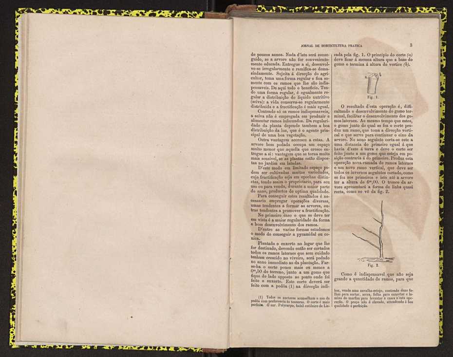 0002-Jornal de Horticultura Prtica II 1871 13