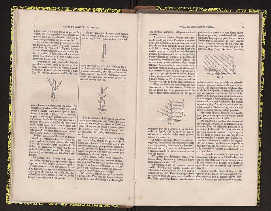 0002-Jornal de Horticultura Prtica II 1871 14