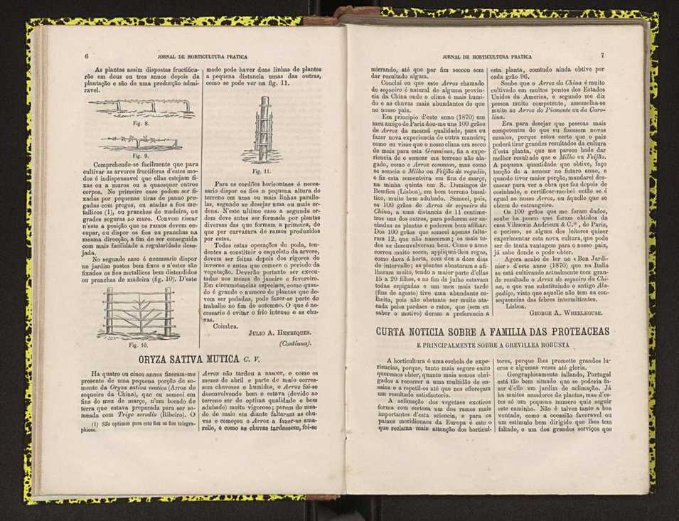 0002-Jornal de Horticultura Prtica II 1871 15