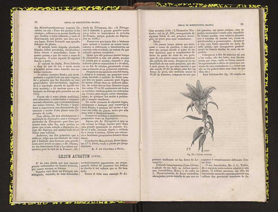 0002-Jornal de Horticultura Prtica II 1871 18