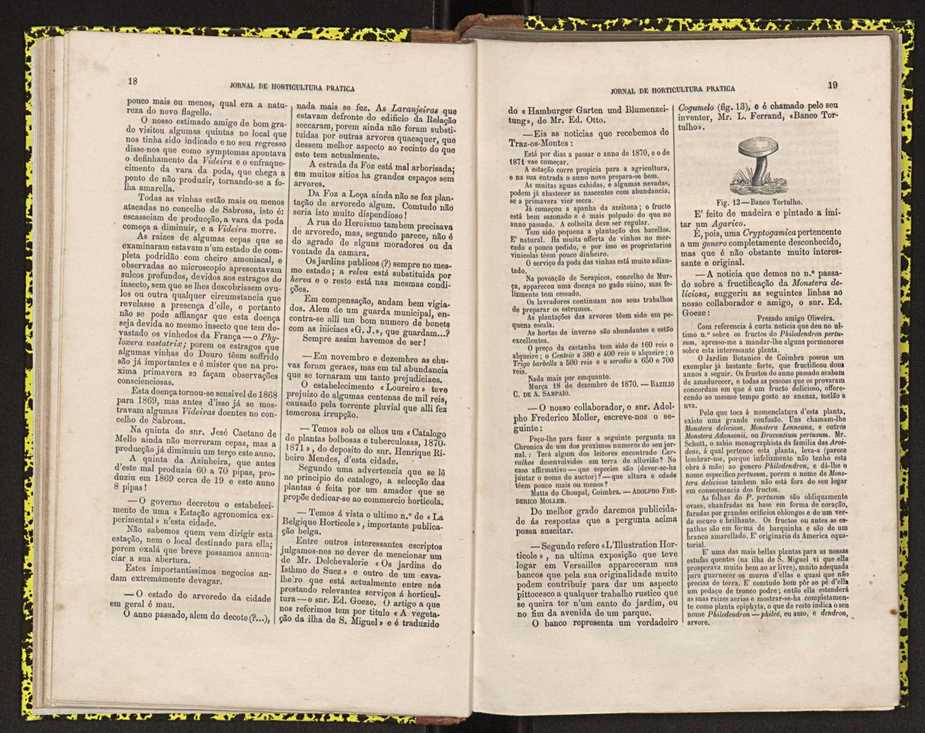 0002-Jornal de Horticultura Prtica II 1871 21