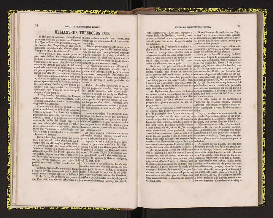 0002-Jornal de Horticultura Prtica II 1871 28