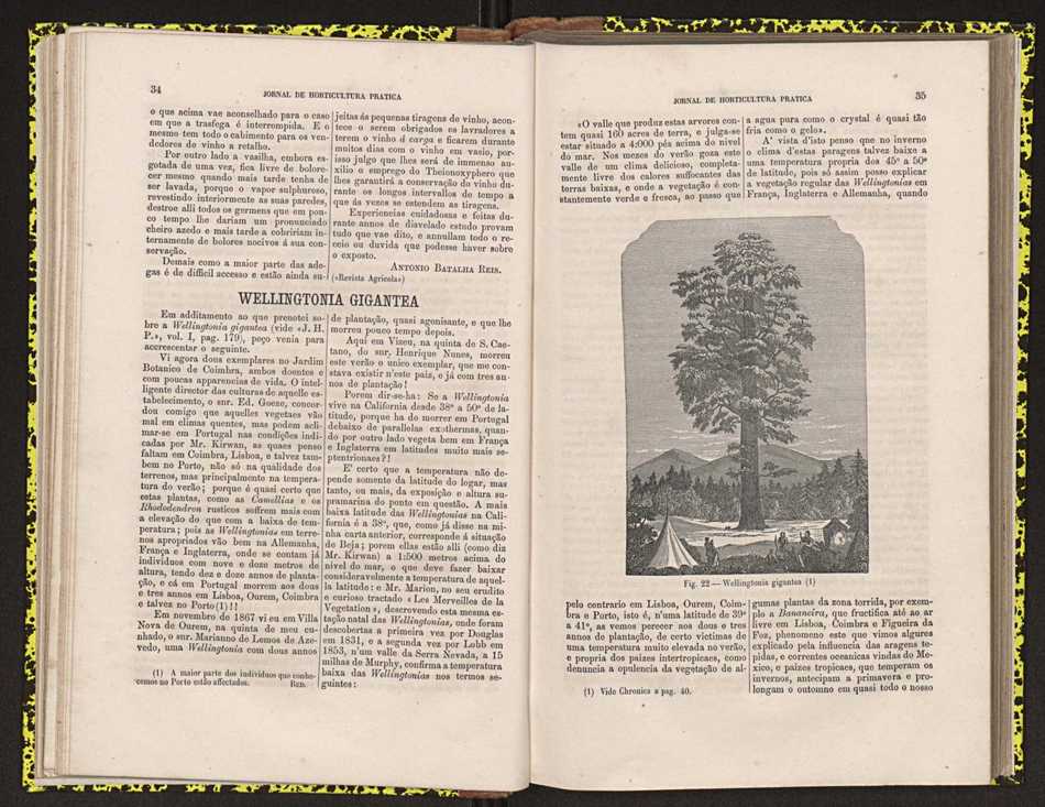 0002-Jornal de Horticultura Prtica II 1871 31
