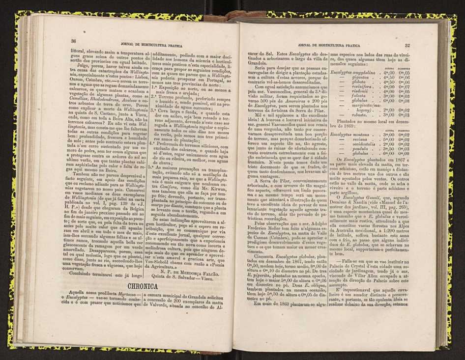 0002-Jornal de Horticultura Prtica II 1871 32