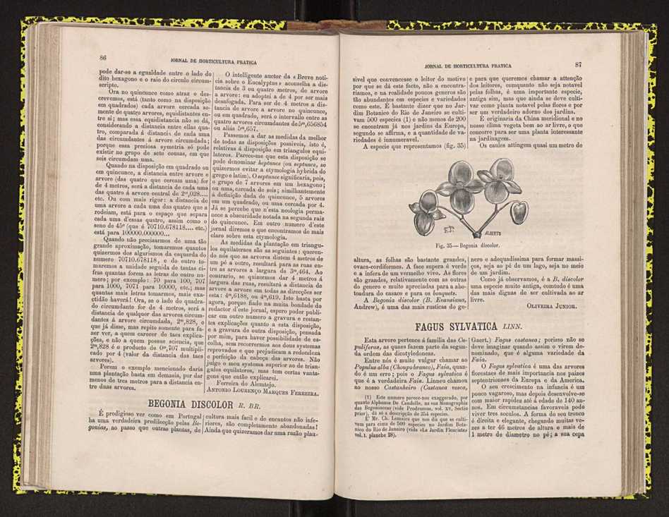0002-Jornal de Horticultura Prtica II 1871 62