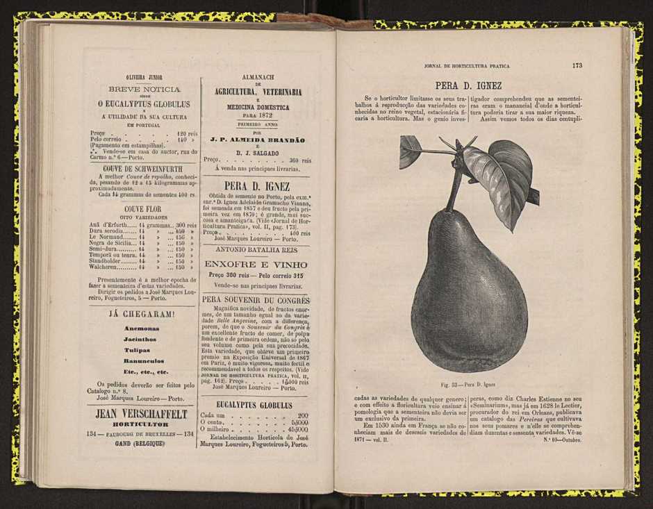 0002-Jornal de Horticultura Prtica II 1871 116