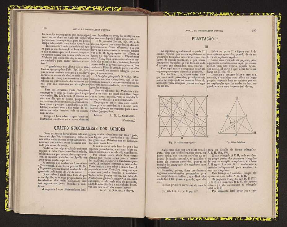 0002-Jornal de Horticultura Prtica II 1871 131
