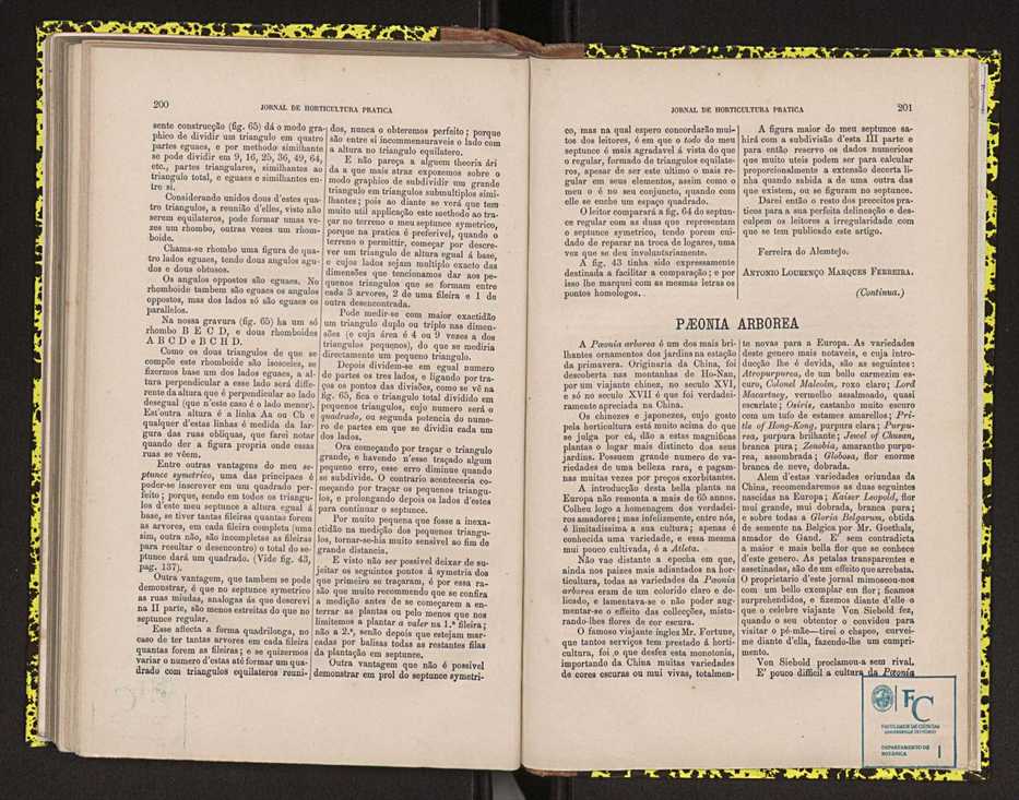 0002-Jornal de Horticultura Prtica II 1871 132