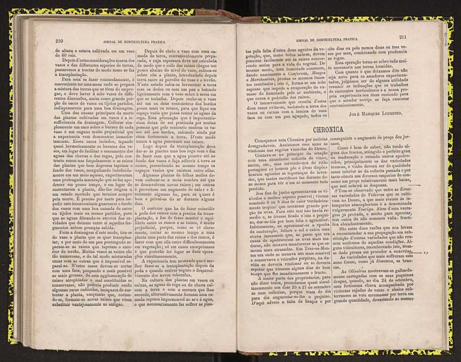 0002-Jornal de Horticultura Prtica II 1871 137