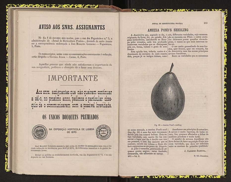 0002-Jornal de Horticultura Pr�tica II 1871 140