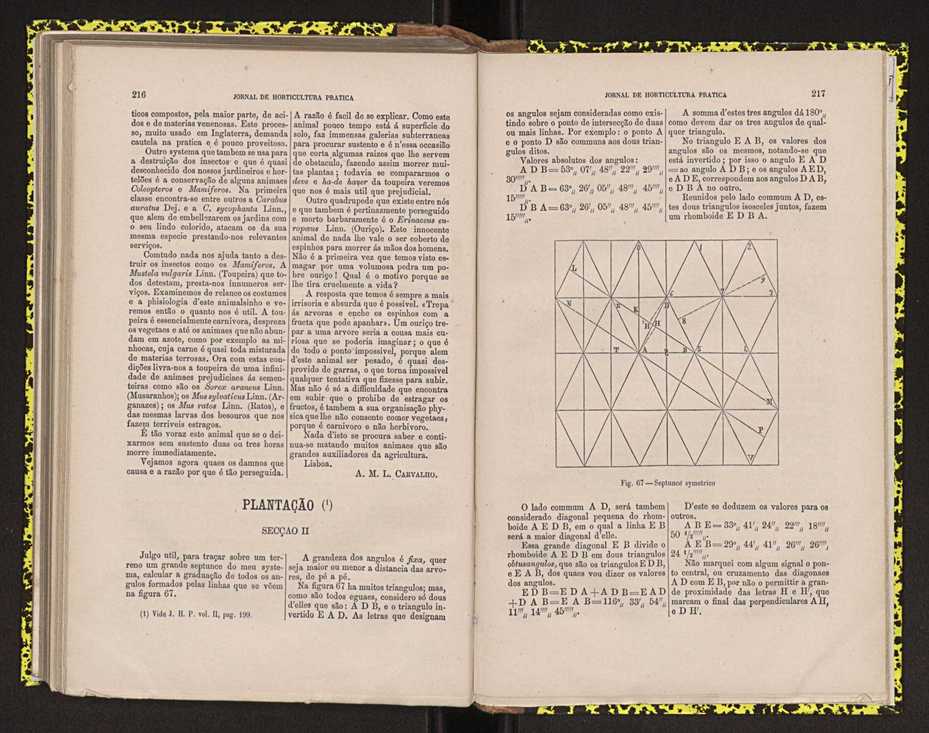 0002-Jornal de Horticultura Prtica II 1871 142