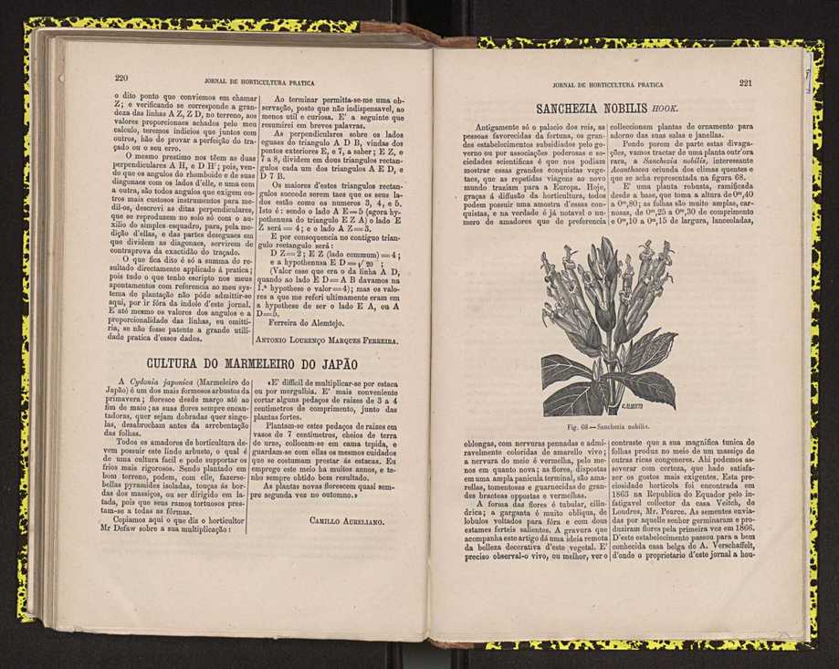 0002-Jornal de Horticultura Prtica II 1871 144
