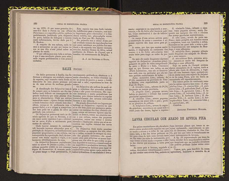 0002-Jornal de Horticultura Prtica II 1871 145