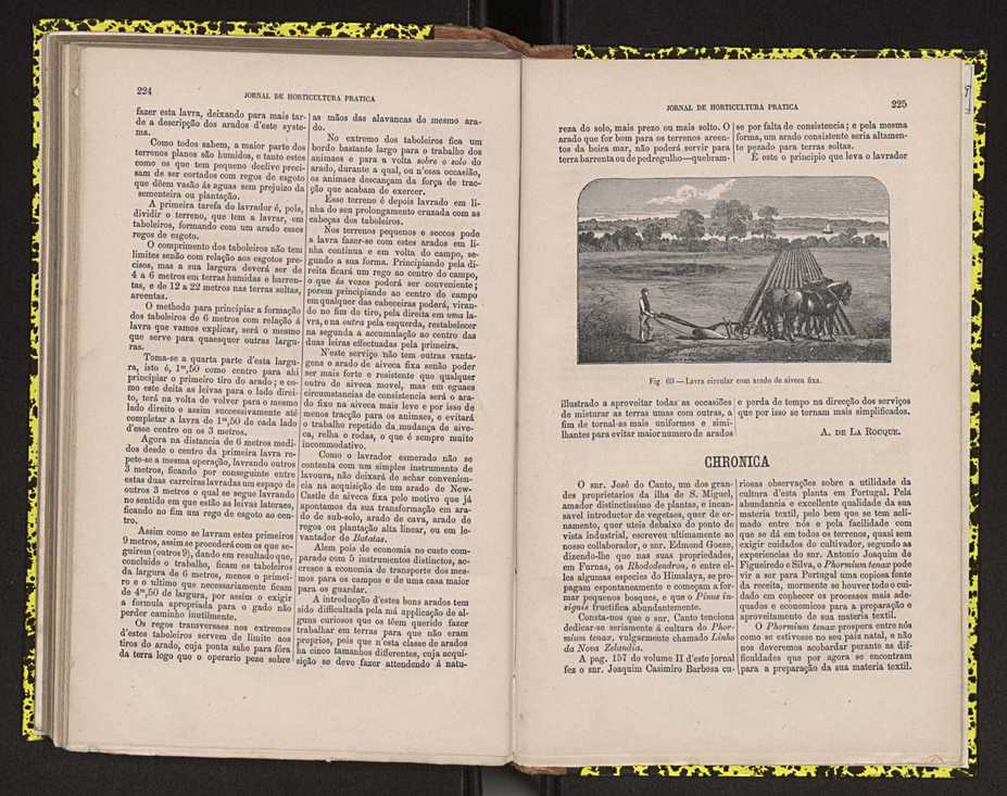 0002-Jornal de Horticultura Prtica II 1871 146