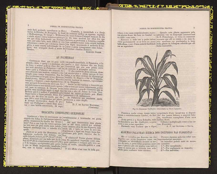 Jornal de horticultura prtica IV 12