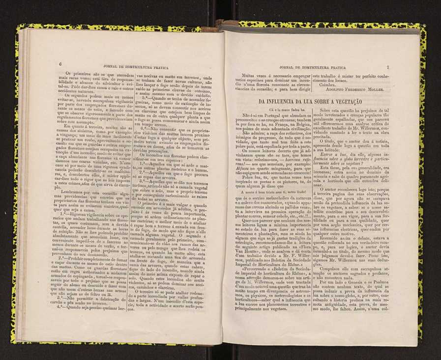Jornal de horticultura pr�tica IV 13