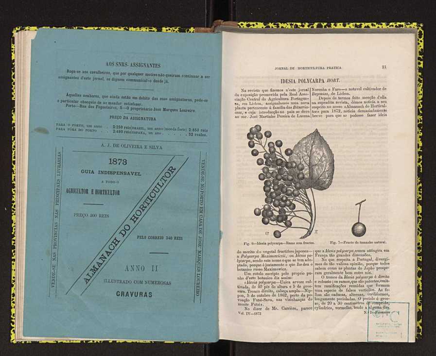 Jornal de horticultura prtica IV 21