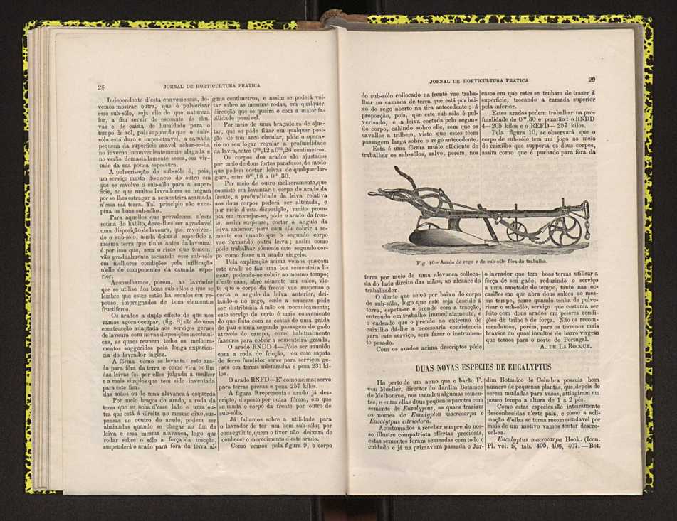 Jornal de horticultura prtica IV 25