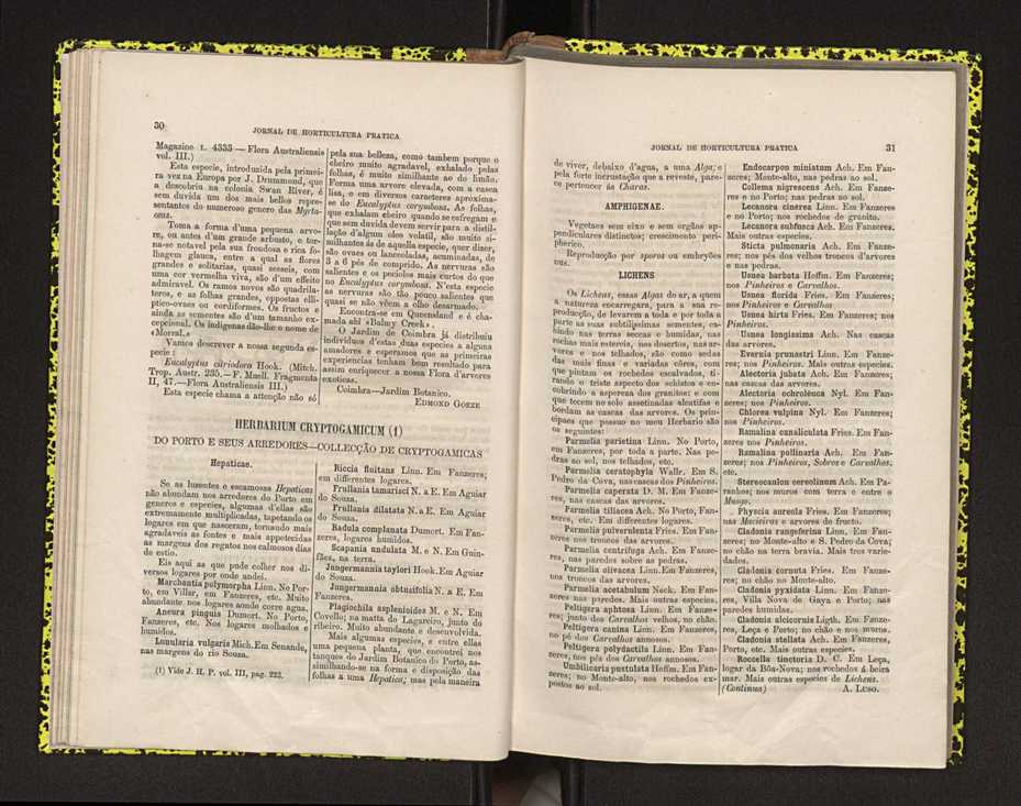 Jornal de horticultura prtica IV 26