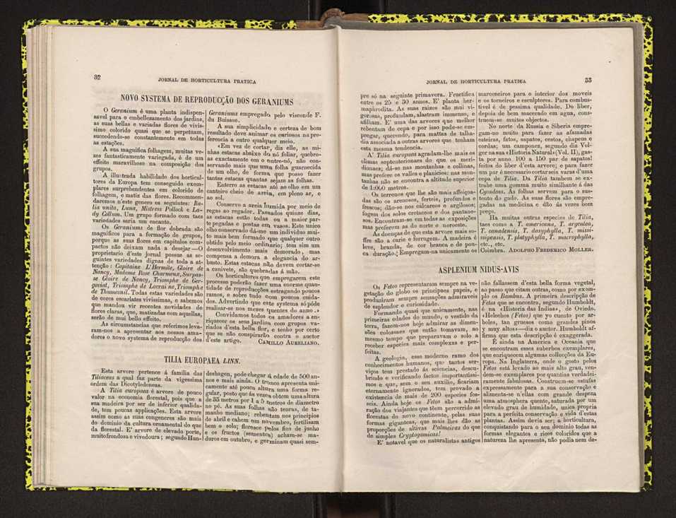 Jornal de horticultura prtica IV 27