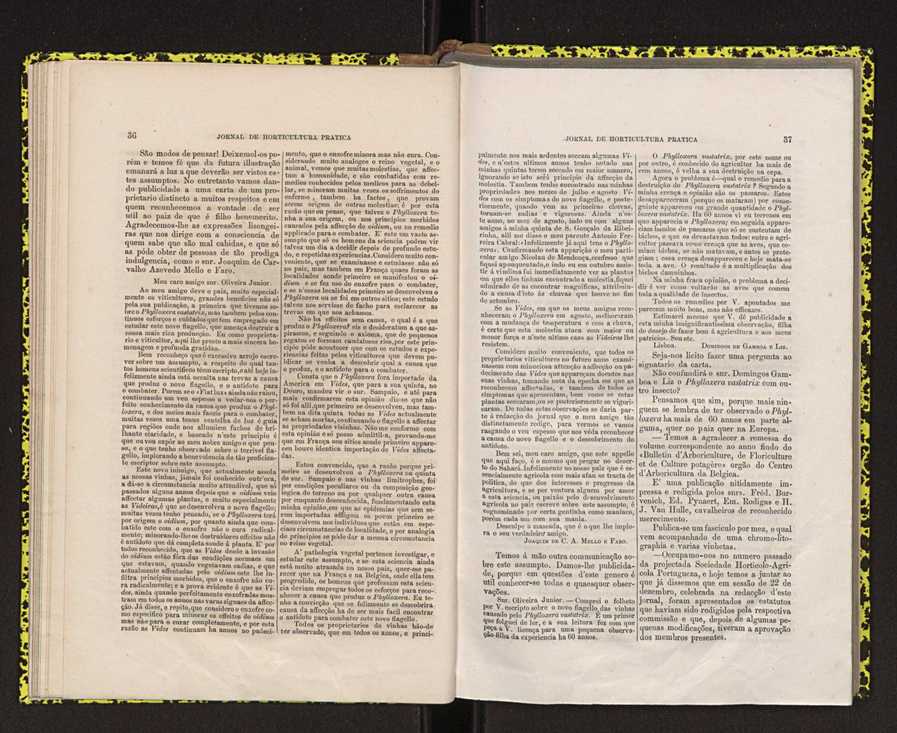 Jornal de horticultura prtica IV 29