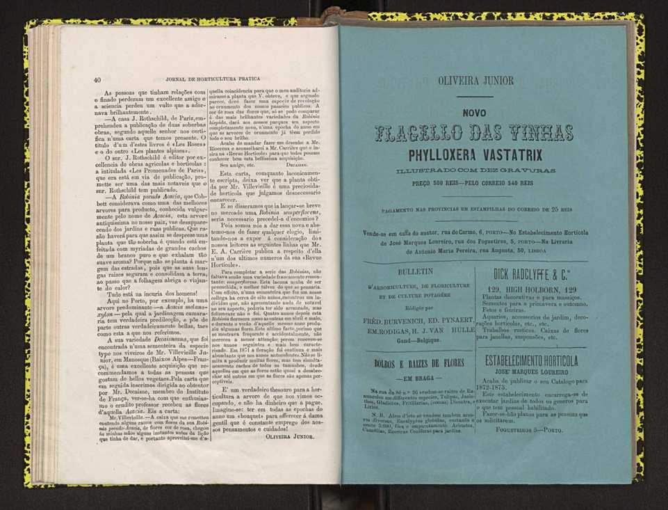 Jornal de horticultura prtica IV 31