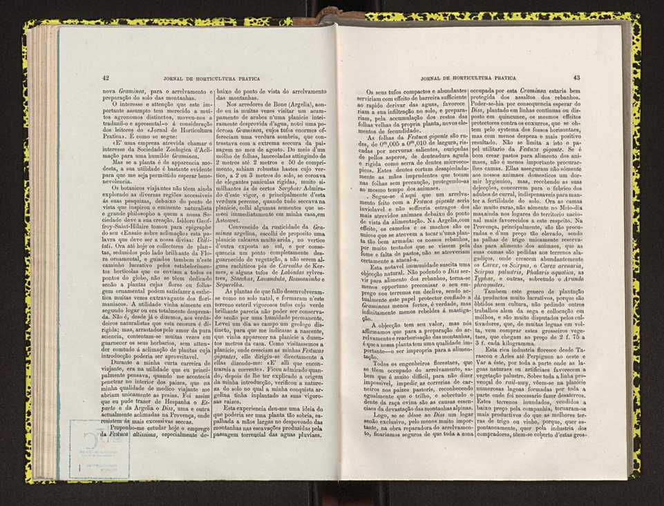Jornal de horticultura prtica IV 34