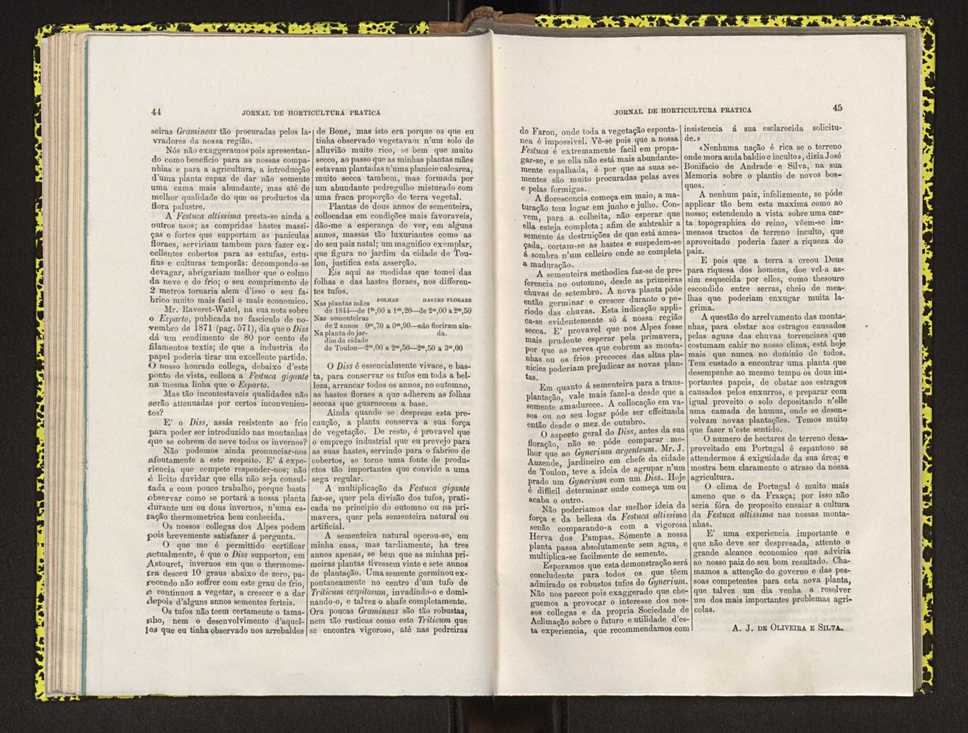 Jornal de horticultura prtica IV 35