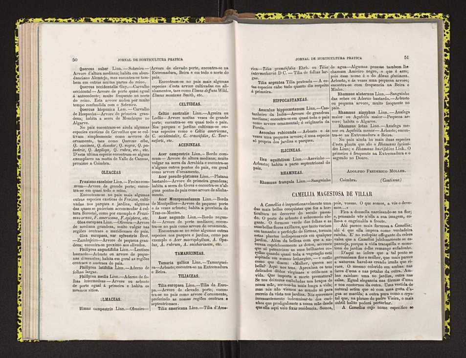 Jornal de horticultura prtica IV 38