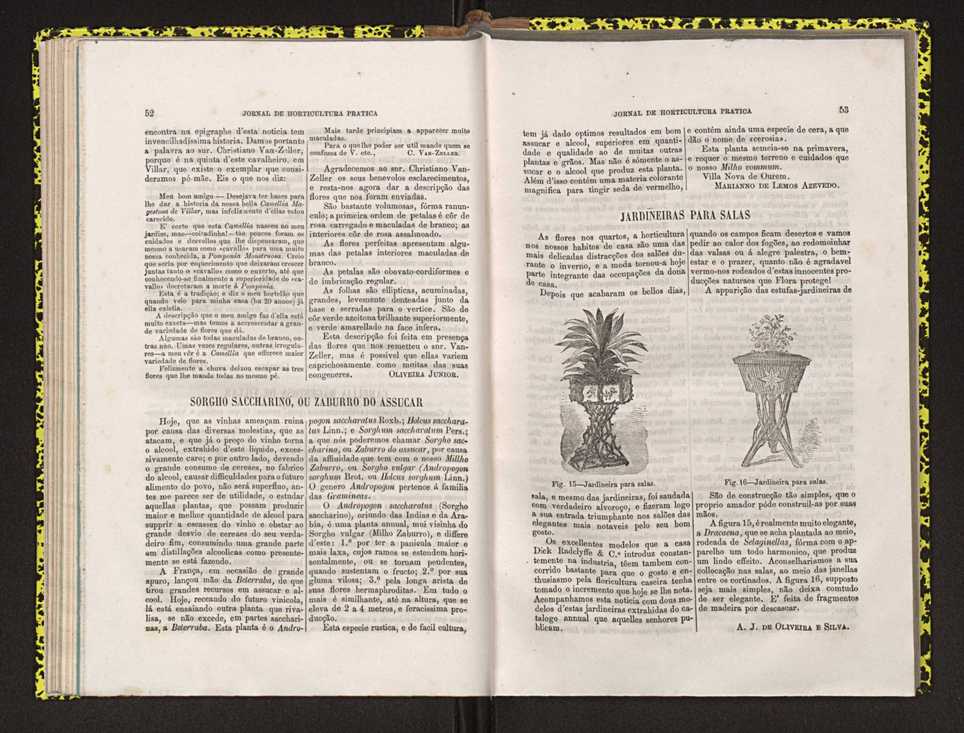 Jornal de horticultura prtica IV 39