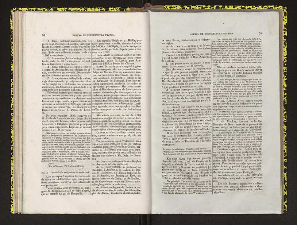 Jornal de horticultura prtica IV 42