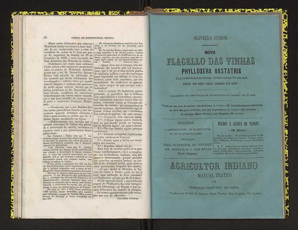 Jornal de horticultura prtica IV 43