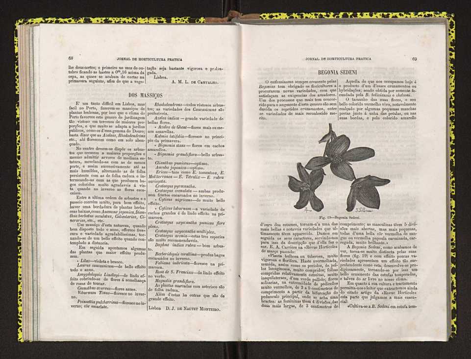 Jornal de horticultura prtica IV 49
