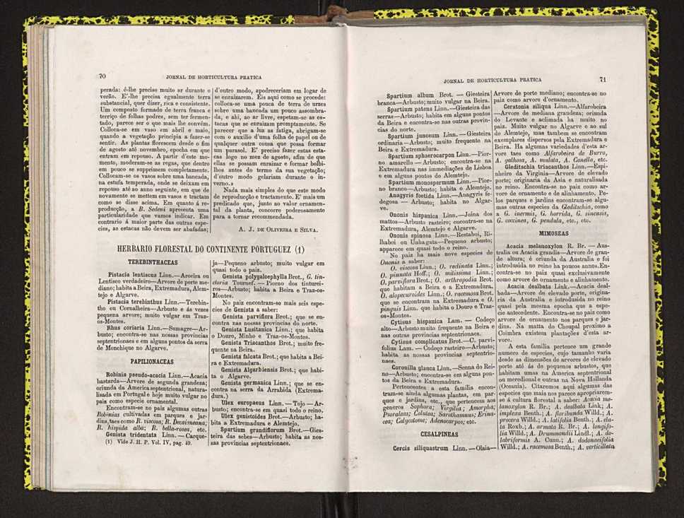 Jornal de horticultura prtica IV 50